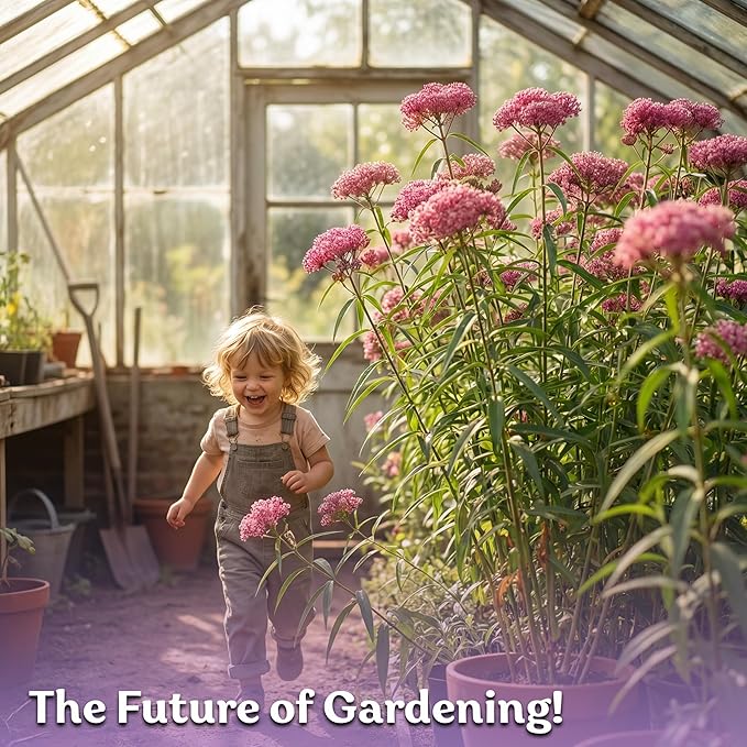 KVITER 150 Swamp Milkweed Seeds (Asclepias Incarnata) - Rose Milkweed, Heirloom, Perennial Wildflower, Pink Blooms, Butterfly and Honeybee Pollinator - Flower Seeds in Seed Packets for Outdoor Gardens