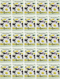 Black Duck Brand Set of 25 Shasta Daisy Flower Seed Packets! Flower Seeds in Bulk - Great for Creating The Garden of Your Dreams! (25, Shasta Daisy - Alaska)