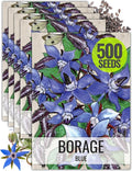 Seed Needs Borage Seeds for Planting Blue Star Flowers - Heirloom Non-GMO & Untreated - Plant a Home Grown Flowering Herb Garden Attract Bees, Butterflies & Other Pollinators (5 Packs)