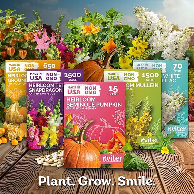 KVITER 1200 Italian Oregano Seeds for Planting (Origanum vulgare) - Majoram, Perennial Pizza Herb, Spicy Flavor Perfect Fresh & Dried - Non GMO & Heirloom Herb Seeds for Outdoor & Indoor Garden, Pots