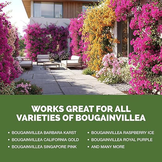 Bougainvillea Fertilizer – Liquid Plant Food for More Blooms, Brighter Color & Fuller Growth, 32 oz