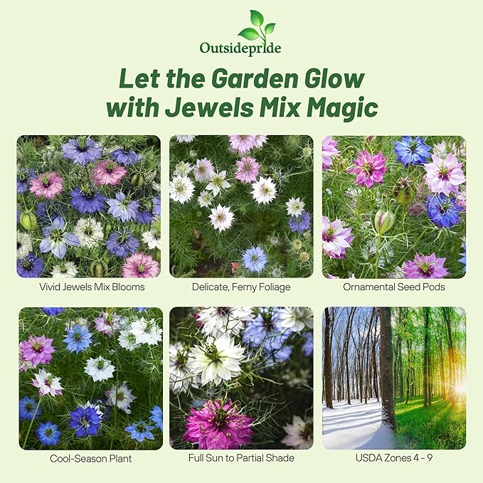 Outsidepride Jewels Mix Nigella Seeds - 1000 Pcs Annual Flower Seeds for Planting with Vibrant Blooms & Lacy, Fern-Like Foliage, Attractive Cut Flower for Small Garden Spaces & Floral Arrangements