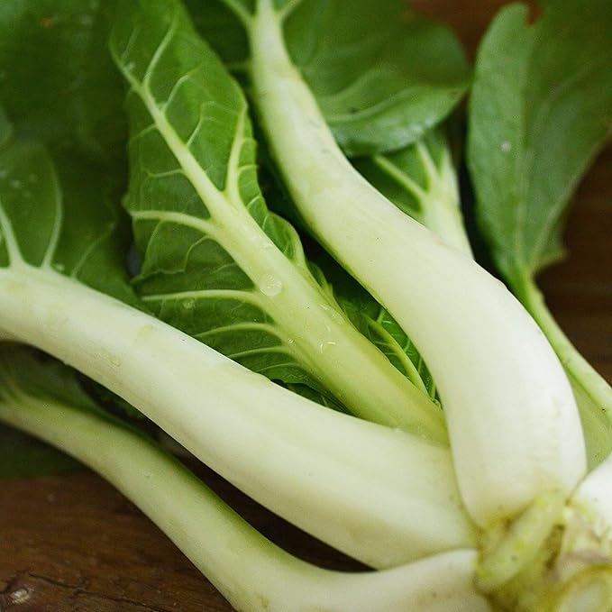 Pak Choi White Stem - 250 Seeds - Open-Pollinated Asian Vegetable Variety, Non-GMO Heirloom Bok Choy Seeds for Planting, Grow Greens Indoors or Outdoors in The Home Garden, Thresh Seed Company