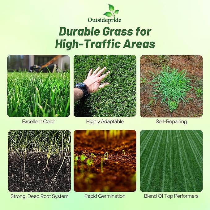 Outsidepride Combat Extreme Transition Zone Grass Seed Blend for Lawn 5 lbs - Fine, Medium Leaf Blades & Dense Turf for Sun, Shady & High Traffic Areas w/OptiGrowth Coating for Seed Enhancement