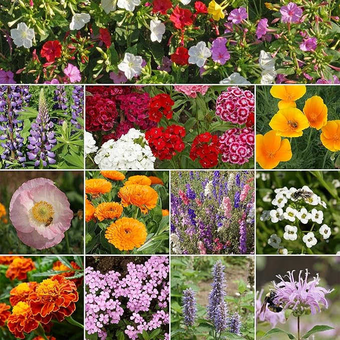 Ferry-Morse Deer Resistant Mix Bulk Wildflower Seeds, 1lb and SUPERthrive Vitamin Solution, 4oz.