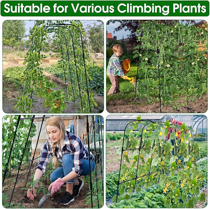 Garden Trellis for Climbing Plants Outdoor, Cucumber Trellis for Raised Bed Garden, Arch Trellis Support for Cucumbers Tomatoes Beans Peas, 50x48 inch, Metal Trellis with Netting, Black