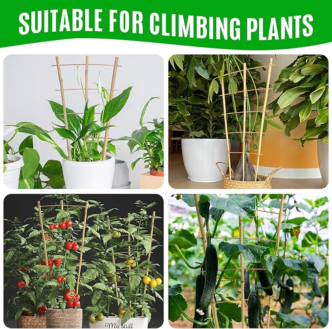 SWANGSA 6 Pack Bamboo Trellis 24 Inches for Climbing Plants, Fan-Shaped Bamboo Plant Trellis Cucumber Tomato Trellis with 50pcs Twist Ties for Outdoor and Indoor Potted Plants
