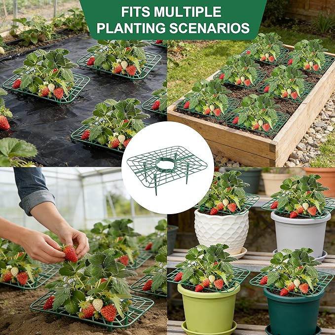 10Pack Strawberry Plant Support, Strawberry Plant Stand Holder Reusable Strawberry Plant Protector Greenhouse Strawberry Trellis Accessories Strawberry Planter for Strawberry Garden Plants