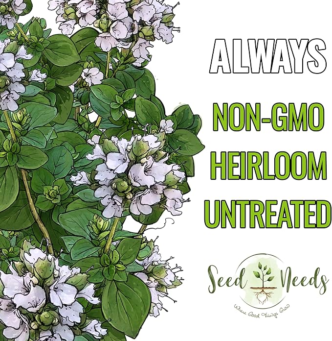 Seed Needs Sweet Marjoram Seeds for Planting - Heirloom, Non-GMO & Untreated - Perennial Culinary & Medicinal Herbs for Indoor/Outdoor Growing (1 Pack)