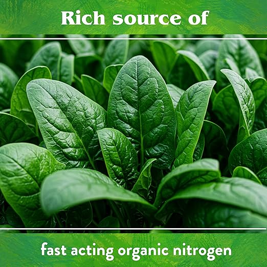 Down To Earth All Natural Fertilizers Organic Blood Meal - High Nitrogen Plant Food for Green Growth 12-0-0, 0.5 lb