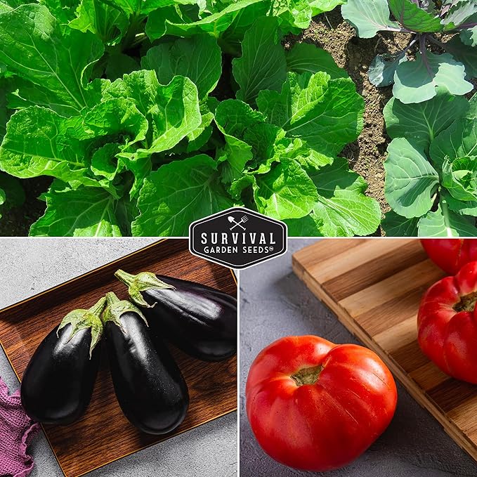 Vegetable Garden Seed Vault for Planting – 15 Pack Collection | Heirloom Non-GMO Family Garden Kit & Gift – Tomato, Lettuce, Cucumber & Squash – Indoor or Outdoor Growing – Survival Garden Seeds