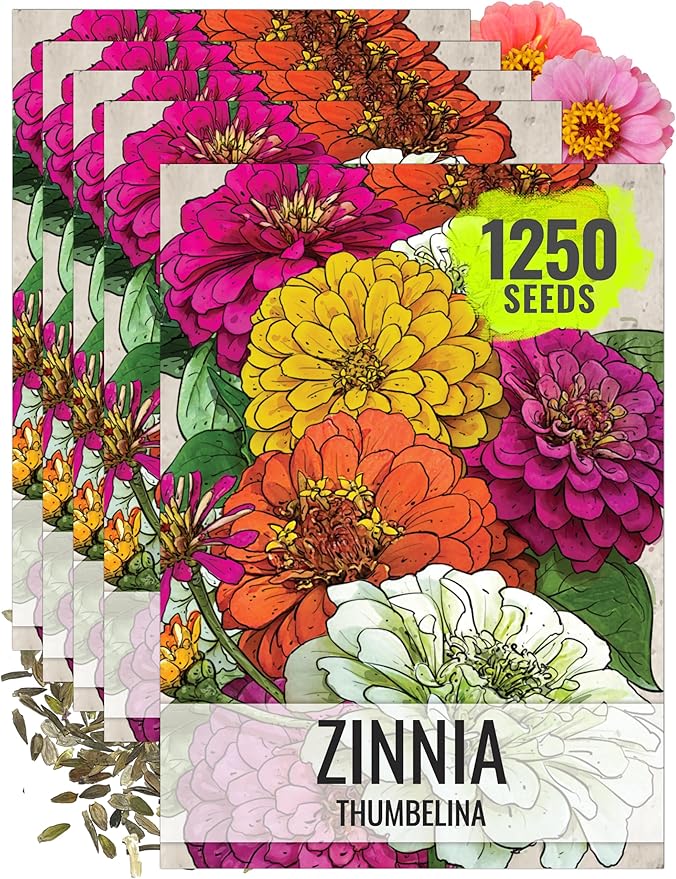 Seed Needs Thumbelina Zinnia Seeds for Planting - Heirloom & Open Pollinated Annual Dwarf Cut Flowers - Grow a Butterfly Garden to Attract Pollinators (5 Packs)