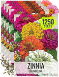 Seed Needs Thumbelina Zinnia Seeds for Planting - Heirloom & Open Pollinated Annual Dwarf Cut Flowers - Grow a Butterfly Garden to Attract Pollinators (5 Packs)