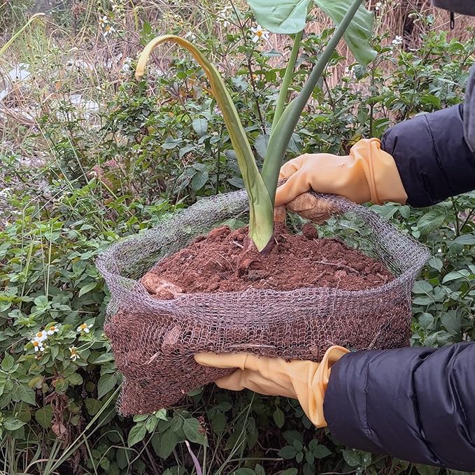 Foyego 10 Pcs 5 Gallon Root Guard Baskets for Plants, Underground Stainless Steel Wire Mesh Cages Gopher and Vole Wire Basket Protect The Roots of Large Plants