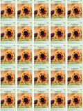 Black Duck Brand Set of 25 Autumn Beauty Sunflower Seed Packets! Flower Seeds in Bulk - Great for Creating The Garden of Your Dreams! (25, Autumn Beauty Sunflower)
