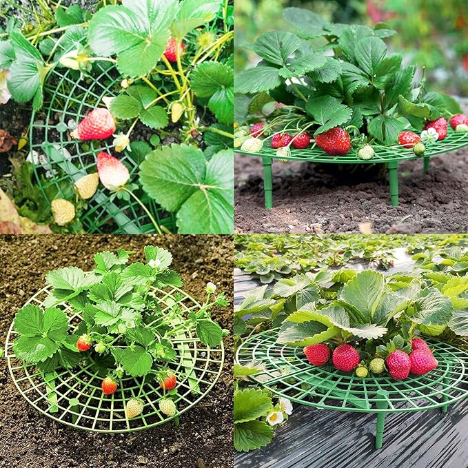 ANGTUO 10 Pack Strawberry Supports for Garden Strawberry Plant Support Strawberry Stand Holder Strawberry Racks Growing Frame