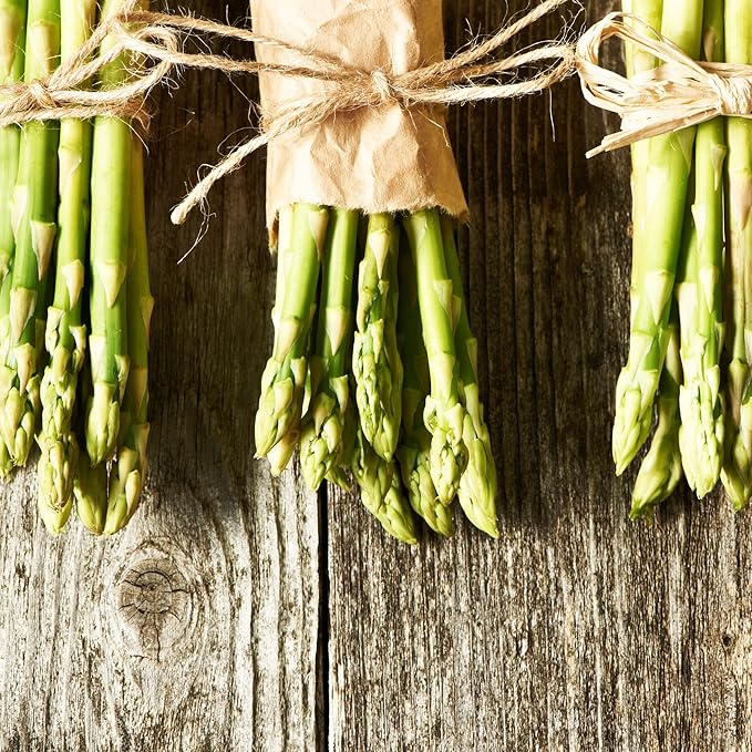 Seeds Green Mary Washington Asparagus - Heirloom Vegetable - GMO Free