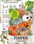 Seed Needs Pumpkin Seeds for Planting Spooky Blend - 30 Premium Heirloom Seeds (Lumina White, Jack O Lantern, Baby Boo, Blue Jarrahdale, Cinderella & More!) Non-GMO & Untreated (1 Small Pack)