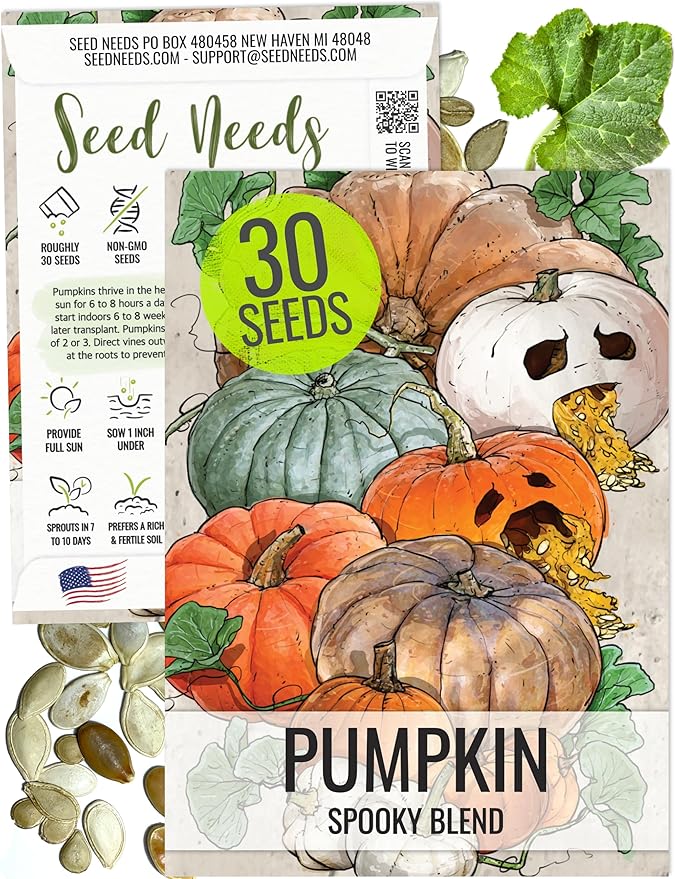 Seed Needs Pumpkin Seeds for Planting Spooky Blend - 30 Premium Heirloom Seeds (Lumina White, Jack O Lantern, Baby Boo, Blue Jarrahdale, Cinderella & More!) Non-GMO & Untreated (1 Small Pack)