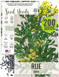 Seed Needs Rue Seeds for Planting - Non-GMO Heirloom & Untreated Perennial Herb Seed to Plant a Home Grown Medicinal Garden Indoors or Outdoors (1 Pack)