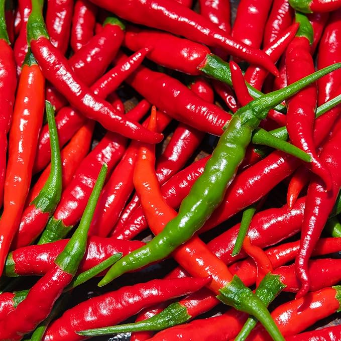 The Old Farmer's Almanac Organic Cayenne Pepper Seeds (Long Slim) - Approx 30 Seeds - Certified Organic, Non-GMO, Open Pollinated, Heirloom