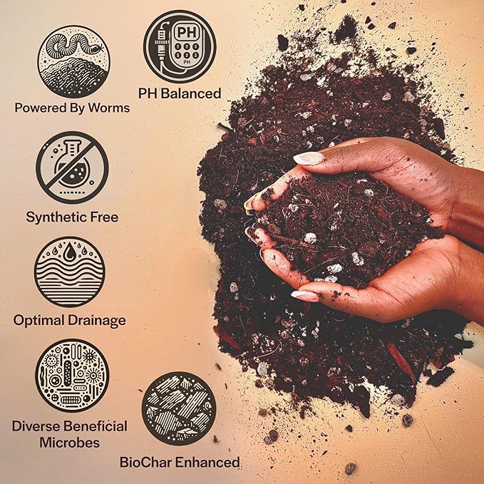 Craft Aroid Potting Mix- Elite Organic Alocasia, Philodendron, Monstera Soil Mix, Chunky, Well Draining Potting Soil for Indoor Plants, All Tropical Plants & Houseplants, Perlite & Peat Free 2QT