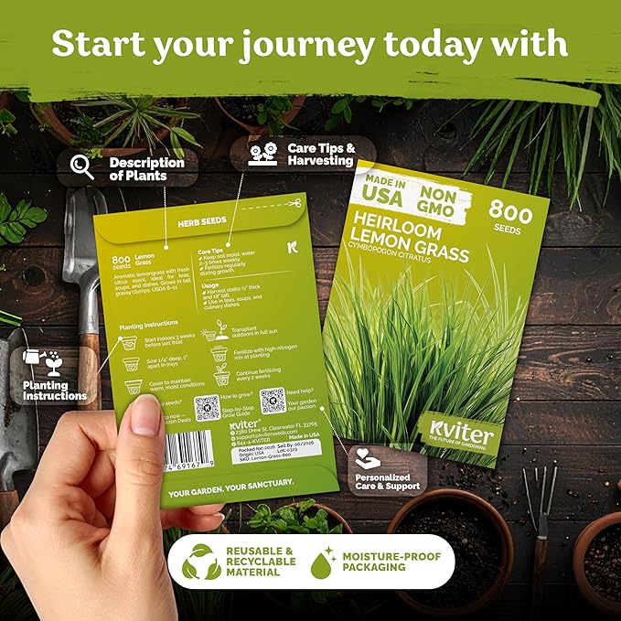 KVITER 800 Lemongrass Seeds (Cymbopogon citratus) - Lemon Grass Seed, Aromatic Culinary Herbs, Organic & Non GMO - Heirloom Herb Seeds for Outdoor, Indoor Garden & Containers