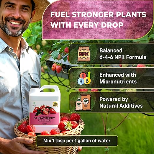Leaves and Soul Professional Strawberry Fertilizer Liquid Concentrate - 6-4-6 Blend Liquid Garden Fertilizer for Strawberries - Plant Food for Strawberry Bushes and Plants - 32oz