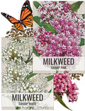 Seed Needs Milkweed Seeds for Planting Swamp Milk Weed (Asclepias Incarnata) White & Pink Seed Collection - Attract Monarch Butterflies by Growing a Butterfly Garden (2 Packs)