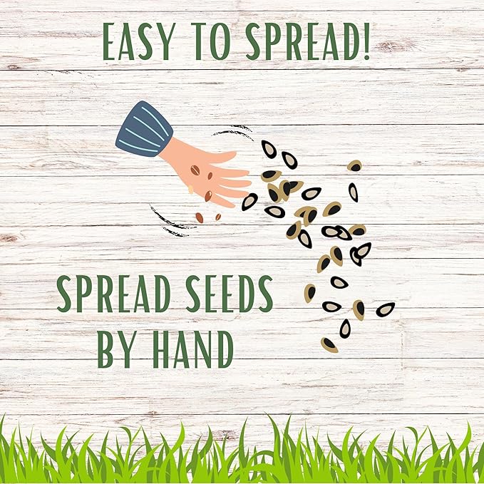 Flawn Seed Kits Simple Lawn Mow Less Fine Fescue Eco-Grass Seed, 1 Lb, Low Maintenance, Shade Tolerant, Covers up to 500