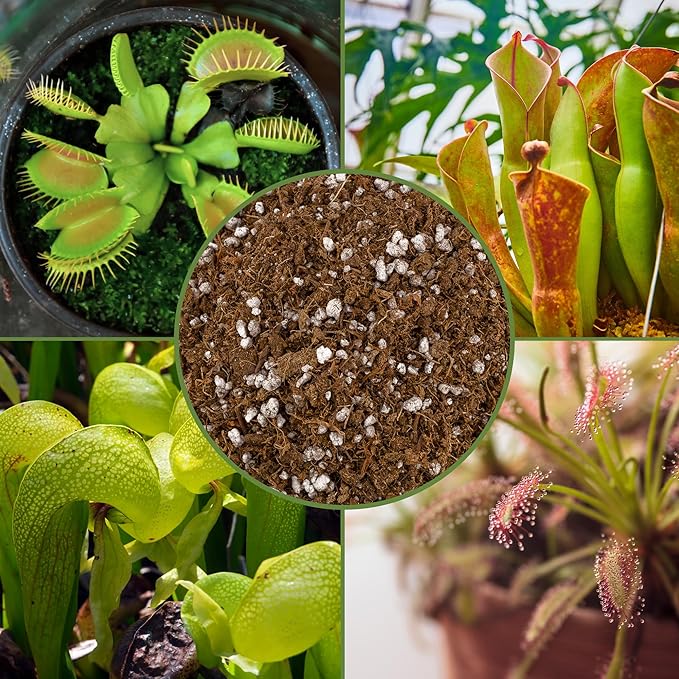 Soil Sunrise Carnivorous Plant Potting Soil Mix (8 Quarts) Ideal Additive for Venus Fly Traps, Sundews, and Pitcher Plants