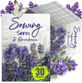 Seed Needs Lavender Seed Packet Favors - Thoughtful Gifts/Handouts for a Memorial or Funeral Service to Remember Loved Ones - Sowing Seeds in Remembrance (30 Packets)