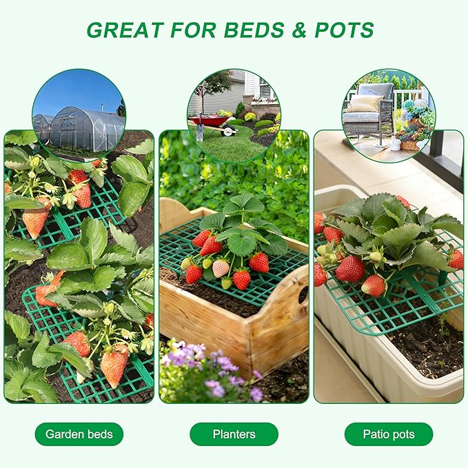 Strawberry Plant Support, 10 Pack, Raised Grid Stand to Keep Strawberries Off the Ground, Strawberry Holder for Garden Beds, Raised Planters & Pots (Square)
