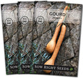 Sow Right Seeds - Dipper Gourd Seeds for Planting - Non-GMO Heirloom Packet with Instructions to Plant and Grow an Outdoor Home Vegetable Garden - Ornamental Craft Gourd - Rare & Unique (3)