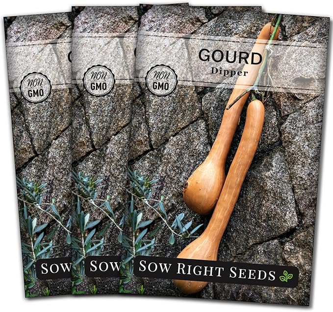 Sow Right Seeds - Dipper Gourd Seeds for Planting - Non-GMO Heirloom Packet with Instructions to Plant and Grow an Outdoor Home Vegetable Garden - Ornamental Craft Gourd - Rare & Unique (3)