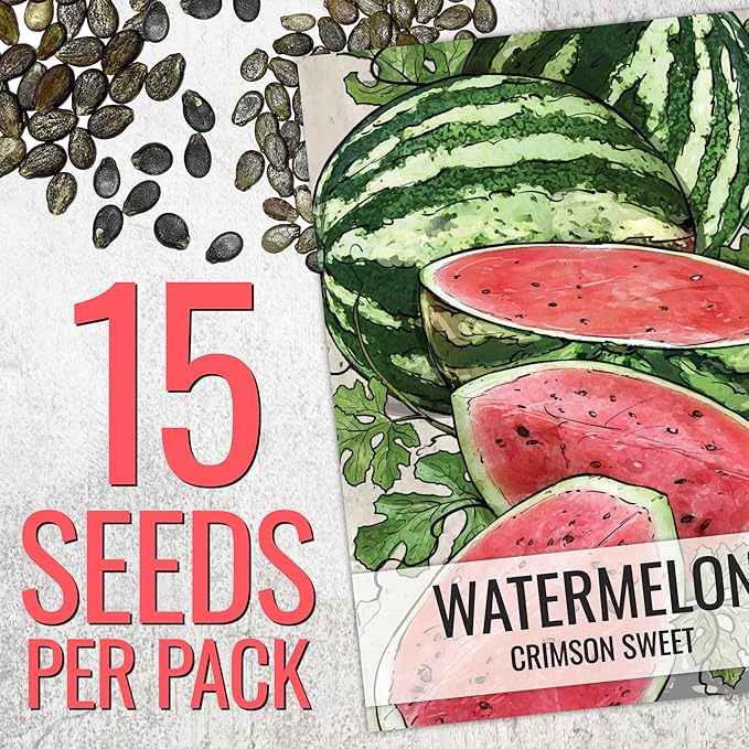 Seed Needs Watermelon Seeds for Planting Fruits - Non-GMO Heirloom & Untreated Water Melon Seed to Plant an Outdoor Home Grown Garden - Collection/Seed Kit (3 Packs)