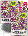 Seed Needs Snapdragon Seeds for Planting Baby Snapdragons - Fairy Bouquet Blend - Heirloom & Open Pollinated Flower Seed to Plant an Outdoor Butterfly Garden (2 Packs)