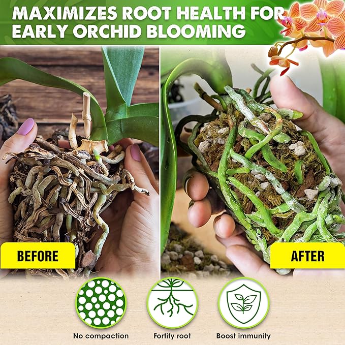 [Upgraded] DUSPRO Orchid Potting Mix for Repotting with Forest Moss, Pine Bark, Perlite & Pumice Natural Ingredients, Orchid Bark Potting Mix, Orchid Repotting Kit Drainage Indoor Potting Medium 6QT