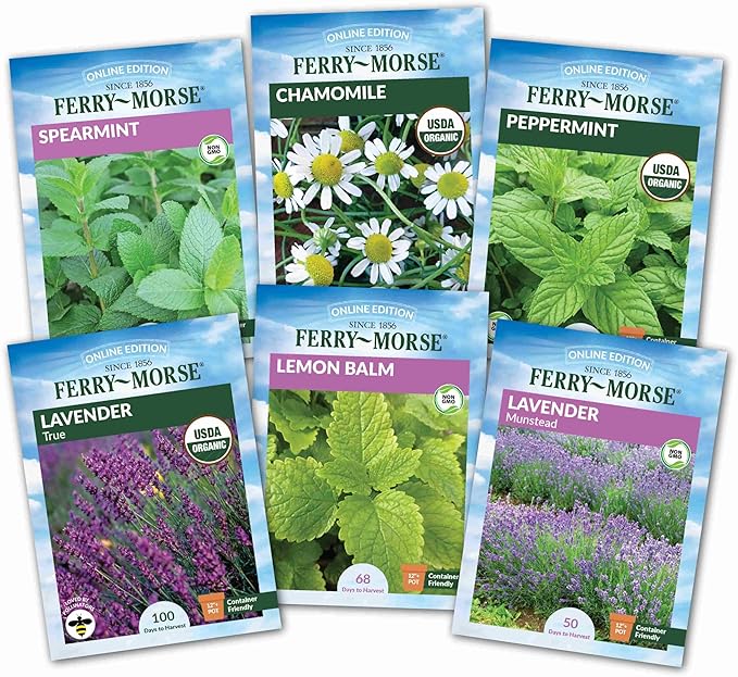 Ferry-Morse Tea Herb Seed Variety Pack - 6 Pack