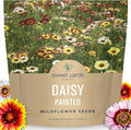 Painted Daisy - Large 1 Ounce Packet - 10,000 Flower Seeds for Planting - Chrysanthemum carinatum