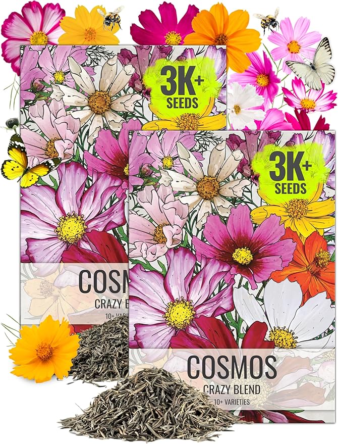 Seed Needs Flower Seeds Cosmos Crazy Blend No Filler 10+ Varieties | Cosmo Bipinnatus Open Pollinated Untreated | Resealable Packaging Keeps Seeds Fresh | Cosmos Flowering Seed Mix (2 Bulk Packs)