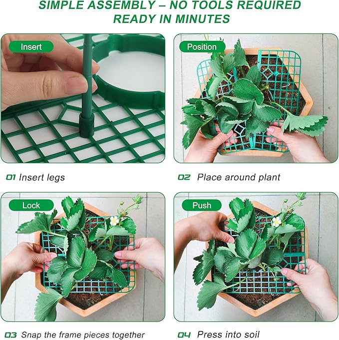 Strawberry Plant Supports, 10 Pack Square Frames Keep Strawberries Off Ground, Reusable Strawberry Plant Stands for Cleaner Strawberries & Easy Harvest