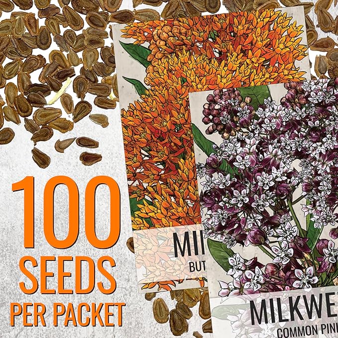 Seed Needs Milkweed Seeds for Planting Butterfly Orange/Common Pink Asclepias Flowers - Heirloom Wildflowers to Attract Monarch Butterflies to a Butterfly Garden