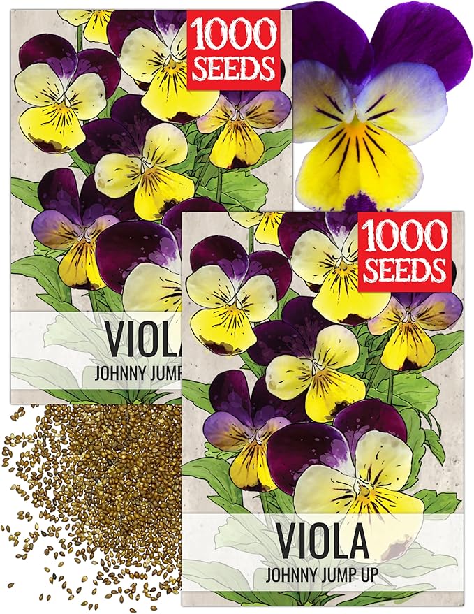 Seed Needs Johnny Jump Up Seeds for Planting Helen Mount Violas - Heirloom & Open Pollinated Flower Seed to Plant an Outdoor Flower Garden - Perfect for Borders, Pots & Containers