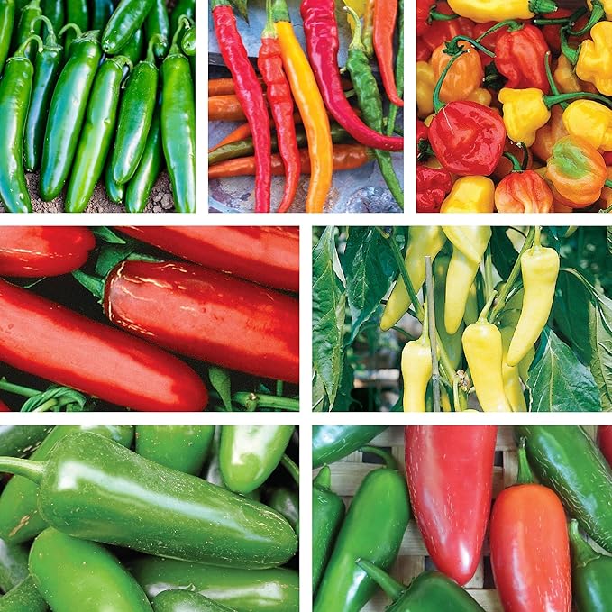 Ferry-Morse Pepper Enthusiast Non-GMO Seed Variety Pack - 7 Pack