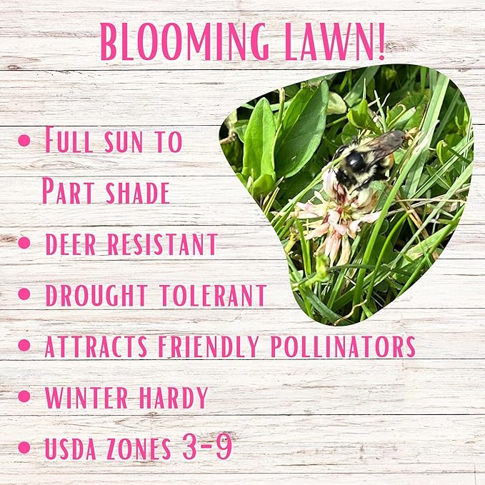 Flawn Seed Kits White Dutch Clover Seed, 1.1 Oz, Organic Coated, Natural Lawn, Ground Cover, Hunting Food Plot, Covers up to 250 Sqft