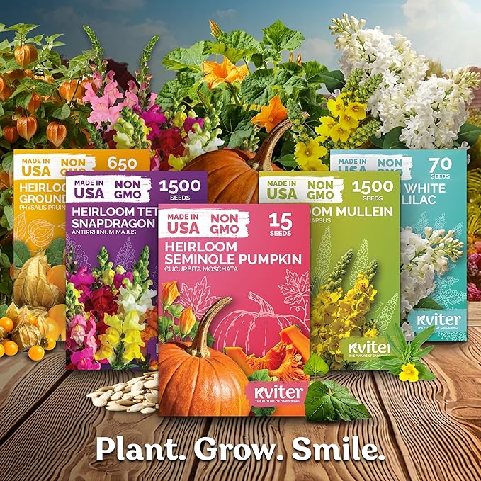 KVITER 150 Chief Mix Cockscomb Seeds (Celosia argentea) – Celosia Seeds for Planting Flowers Vibrant Blooms, Annual Cut Flower Seed Mix – Heat Tolerant Flower Garden Containers, Flowers Beds Outdoors