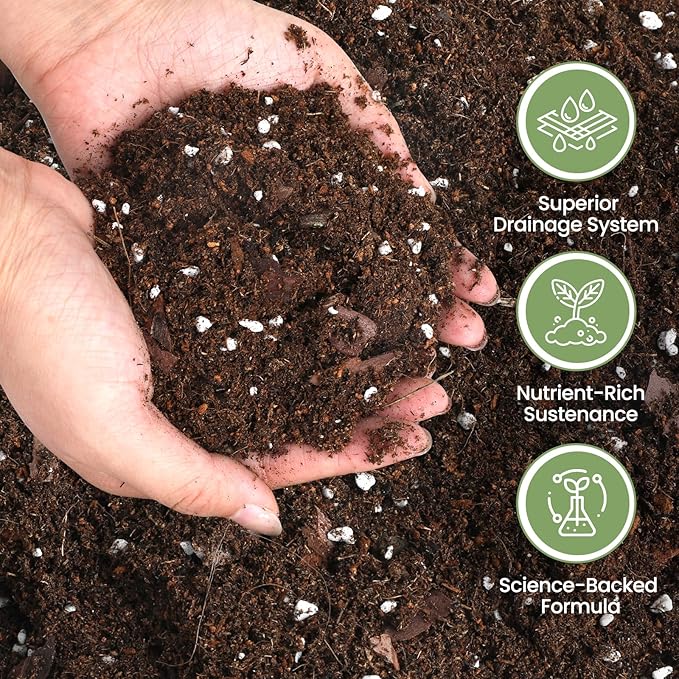 Avocado Soil 4qt, 100% Natural Organic Potting Soil for All-Stage Avocado Tree Growth