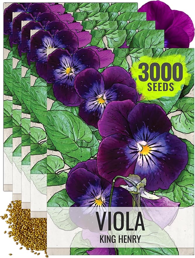 Seed Needs Viola Seeds for Planting King Henry Violas - Heirloom & Open Pollinated Annual Flower Seed to Plant an Outdoor Butterfly Wildflower Garden (5 Packs)
