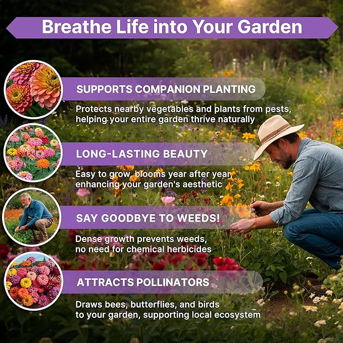 Zinnia Seeds Pack 4 oz - Over 15,300 Non-GMO Heirloom Zinnia Seeds for Planting, Annual Flowers in Individual Seed Packet for Planting Home Garden Indoor & Outdoor Gardening (Pack of 2)